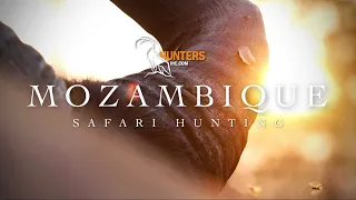 HUNTING IN MOZAMBIQUE - Niassa Dangerous Game Hunting with Huntersinc