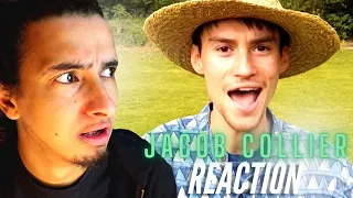 GUITARIST REACTS | Jacob Collier - All Night Long