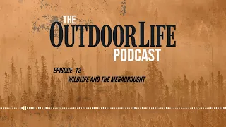 Episode 12 : Wildlife and the Megadrought