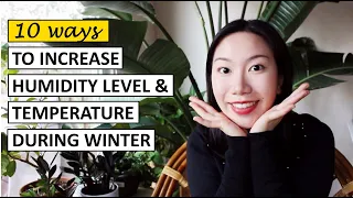 10 Ways to Increase Humidity Level & Temperature During Winter for Your Houseplants