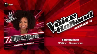 Tjindjara - Million Reasons (The voice of Holland 2017/2018 The Liveshows audio)