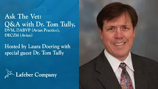 Ask The Vet, Episode 1: Q&A with Tom Tully, DVM, DABVP (Avian Practice), DECZM (Avian)