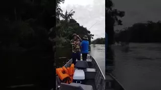 Pescaria de Pacu no Rio São Benedito