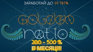 Golden Ratio  +200-573% за 1-2 месяца легко! Активное продвижение с 15.06.2020 WEC WTP