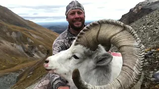 Alaska Dall Sheep & Moose Hunt - Divide Long Range Hunting, 2 Rams, 1 Bull Moose