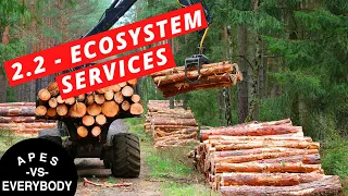 APES Notes 2.2 - Ecosystem Services