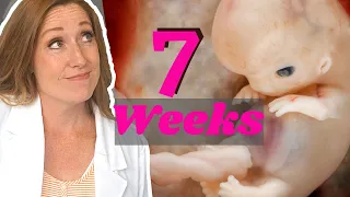 Week 7 of Pregnancy: PLUS General Dos and Don'ts During Pregnancy