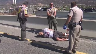 Los Angeles police tackle pursuit suspect before jumping from freeway overpass