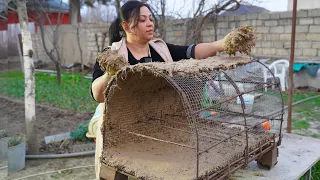 I Built a Clay Oven & Cooked a Delicious Pizza / Village Life