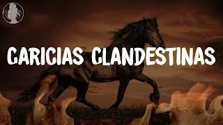 Caricias Clandestinas - Letra - Remmy Valenzuela