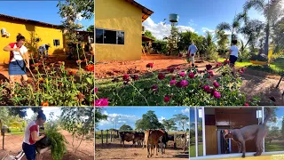 Isso não é roça é um paraíso / preparativos pra volta com reforma da casa 🏡