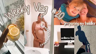 WEEKLY VLOG #20|| 31 Weeks Pregnant | I had a Breakdown | Preparing my Toddler for a Baby | 8 months