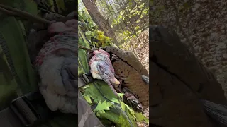 Turkey Hunters Know the Feeling