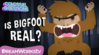 Could Bigfoot Be Real? | COLOSSAL QUESTIONS