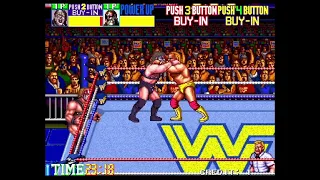 WWF Wrestlefest Demolition