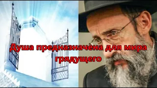 Душа предназначена для мира грядущего. Рав Ашер Кушнир