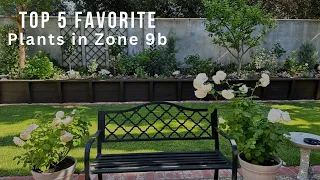 Top 5 Favorite Plants in Zone 9b