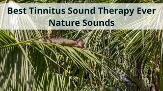 10 Hours Best Tinnitus Sound Therapy Ever Nature Sounds Black Screen