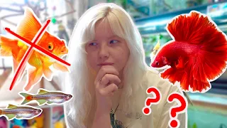 What’s The Best FIRST PET FISH?