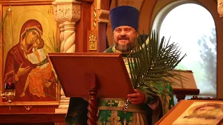 Palm Sunday: How Orthodoxy Can Change America!