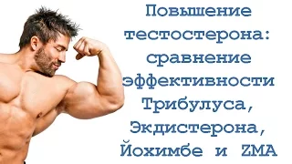 Повышение тестостерона: сравнение эффективности Трибулуса, Экдистерона, Йохимбе и ZMA