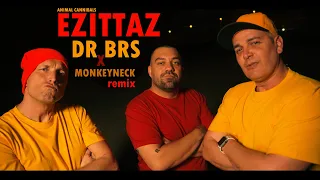 Animal Cannibals - Ezittaz (DR BRS x Monkeyneck remix)