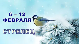 ♐ СТРЕЛЕЦ. ❄️ С 6 по 12 ФЕВРАЛЯ 2023 г. ✨️ Таро-прогноз 💫