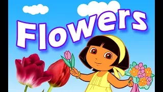 Flowers Name for kids | Flowers Name Video