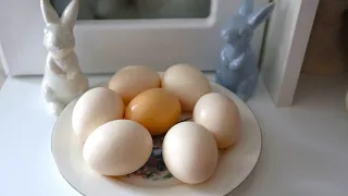 I don't dye eggs. I'll show you how to decorate eggs without painting and surprise your guests