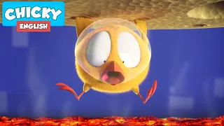 Where's Chicky? Funny Chicky 2021 | THE FLOOR IS LAVA | Chicky Cartoon in English for Kids