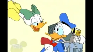 Computer.don - Donald Duck Cartoon