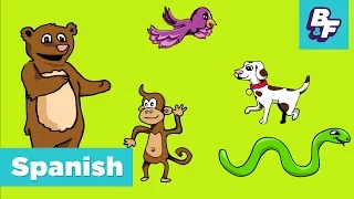 Learn Spanish Animals with BASHO & FRIENDS - Aprende Animales