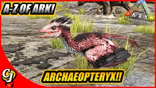 A-Z Of Ark! The ARCHAEOPTERYX, The Best Parachute And Sap Collector!! || Ark Survival Evolved!