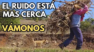 "Aquí hay de los animales más venenosos"|Tío Genaro