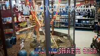 Зоомагазин в США | Pet Store USA