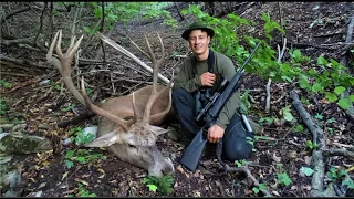 Red stag hunting in the rut - Slovenia 2018