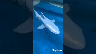 Remote control shark 🦈 toy with Water 👀#toyota