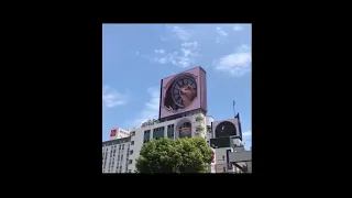 3D-анимация Хатико на билбордах в Японии