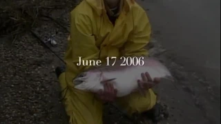 World Record Rainbow Trout- Our Story 1