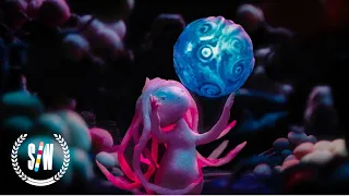 O Black Hole! | Award-Winning Stop-Motion Animation