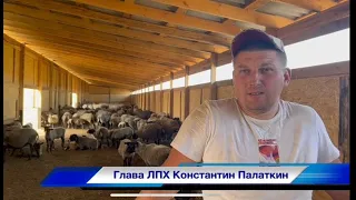 Начинающий фермер: 1 год