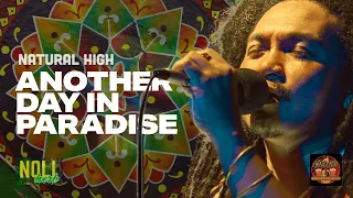 Natural High - "Another Day in Paradise" by Phil Collins (Live Reggae Cover w/ Lyrics) - Noliherb