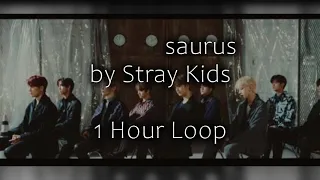 Chronosaurus by Stray Kids 1 Hour Loop