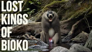 Lost Kings Of Bioko—Trailer