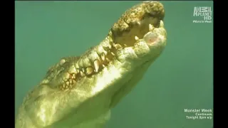 The Crocodile Hunter - Best Of Steve Irwin - S03 E04