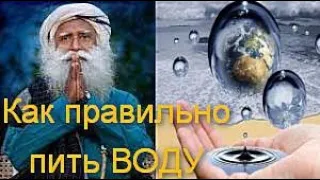 Вода — ключ к здоровью. Как пить воду, чтобы всегда оставаться здоровым?