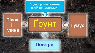 Ґрунти та ґрунтові ресурси України Склад Ґрунту географія природа
