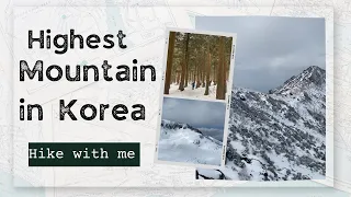 Hiking Hallasan: South Korea's highest peak || Jeju Island || Hiking Hallasan in winter || 겨울 한라산 산행