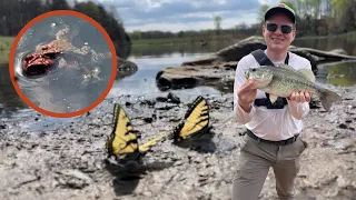 2 Days of Spring Ultralight Fishing! (Snakes, Crawfish, and CRAZY Frog Spawn)