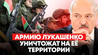 НАТО готово уничтожить армию Лукашенко. Беларуси больше нет. Режимным крысам приготовится!